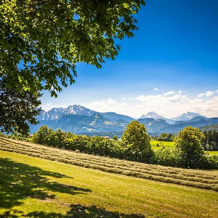 Wallmerhof Am Laendlichen Wimberg Adnet
