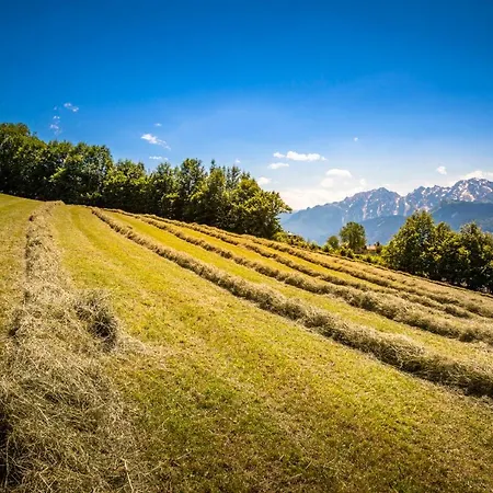Wallmerhof Am Laendlichen Wimberg *