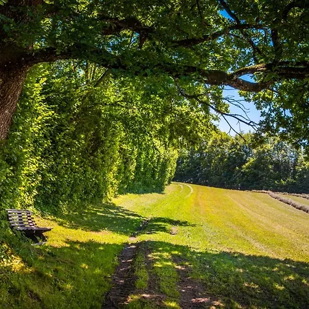 Wallmerhof Am Laendlichen Wimberg Апартаменты *