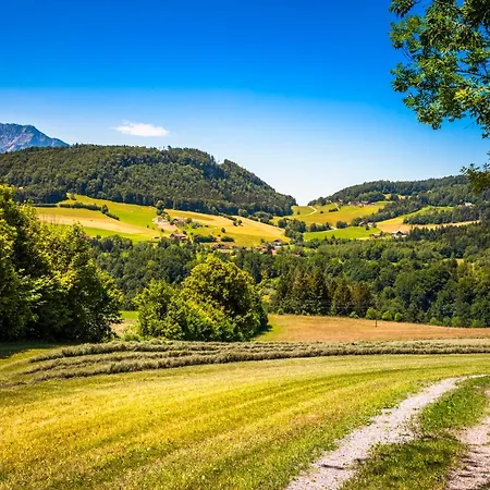 Appartamento Wallmerhof Am Laendlichen Wimberg Adnet