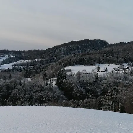 Wallmerhof Am Laendlichen Wimberg Appartamento *
