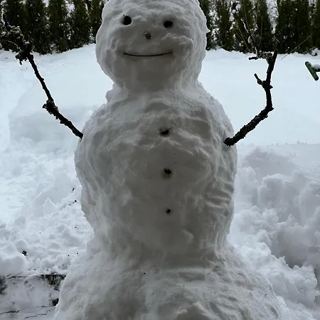 Wallmerhof Am Laendlichen Wimberg Adnet