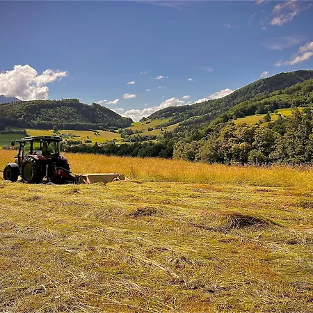 Wallmerhof Am Laendlichen Wimberg * Adnet