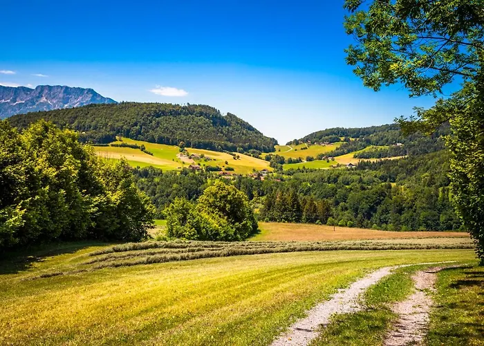 Lägenhet Wallmerhof Am Laendlichen Wimberg Adnet
