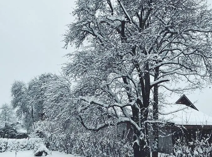 Appartement Wallmerhof Am Laendlichen Wimberg *