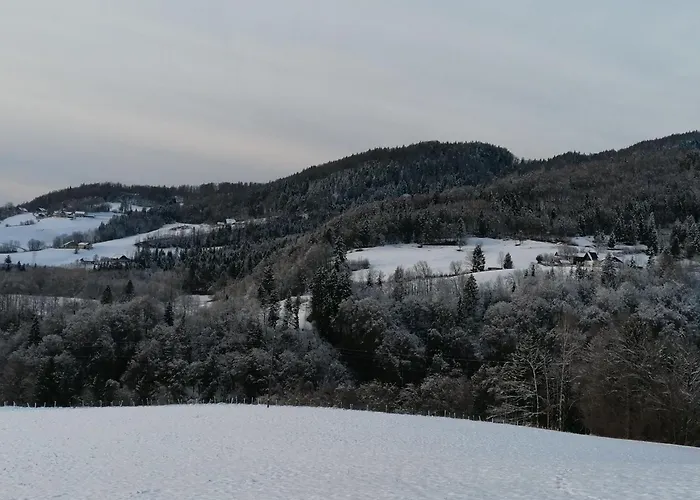 Wallmerhof Am Laendlichen Wimberg Lägenhet *